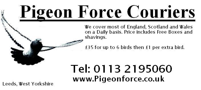 Offering you the fancier the best service at the cheapest price